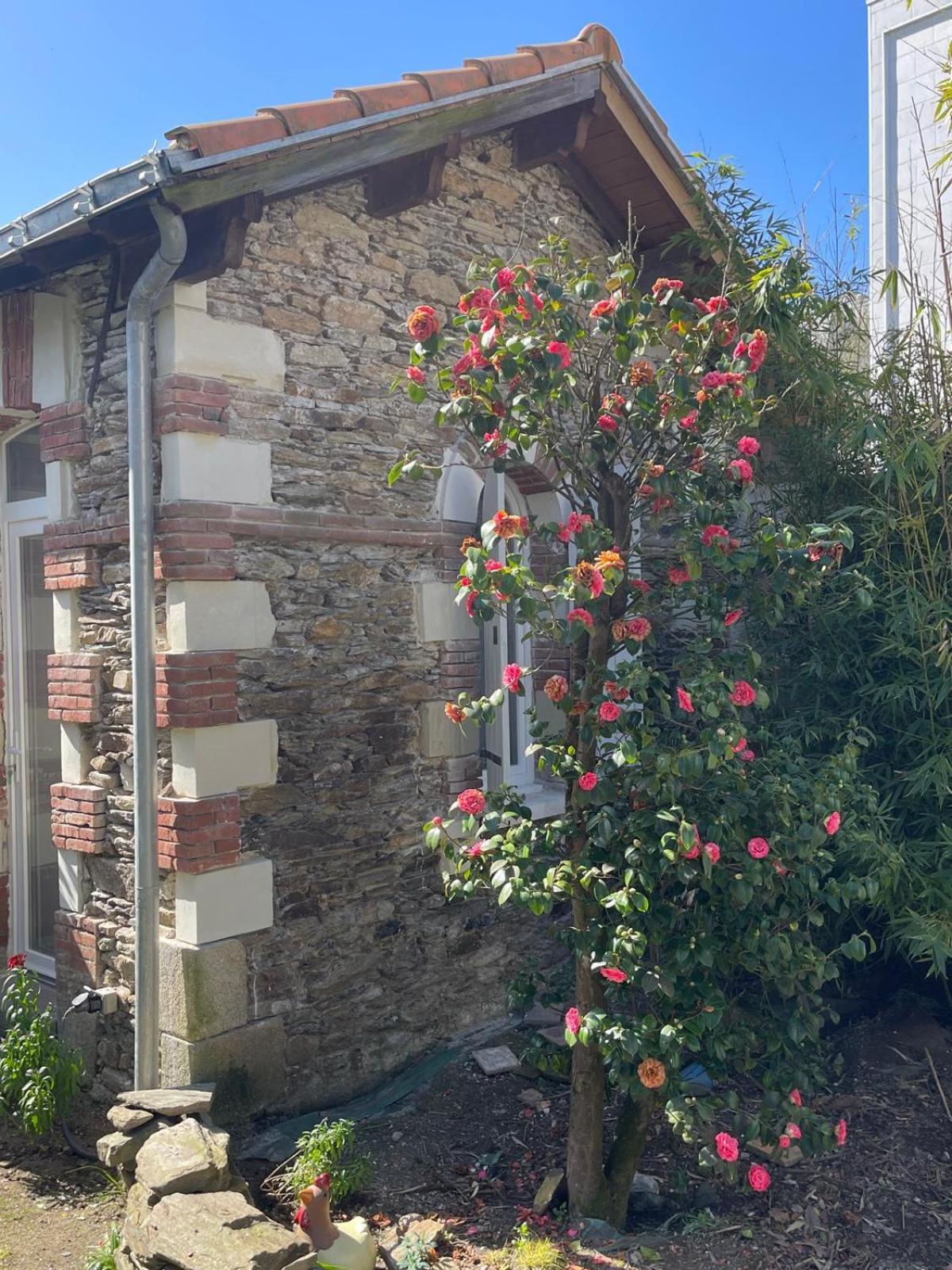Logement Entier - La Laiterie De La Plume Nantes Esterno foto